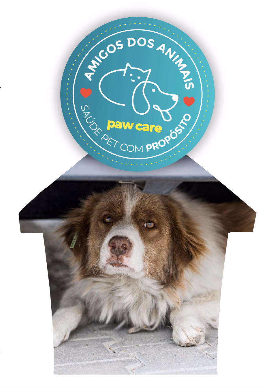 Selo Amigos dos Animais — Paw Care